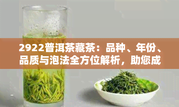 2922普洱茶藏茶：品种、年份、品质与泡法全方位解析，助您成为品茗高手