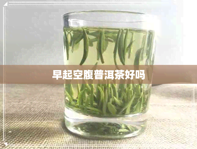 早起空腹普洱茶好吗