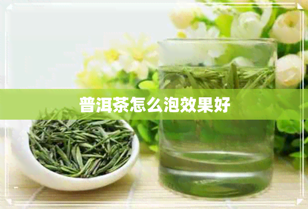 普洱茶怎么泡效果好