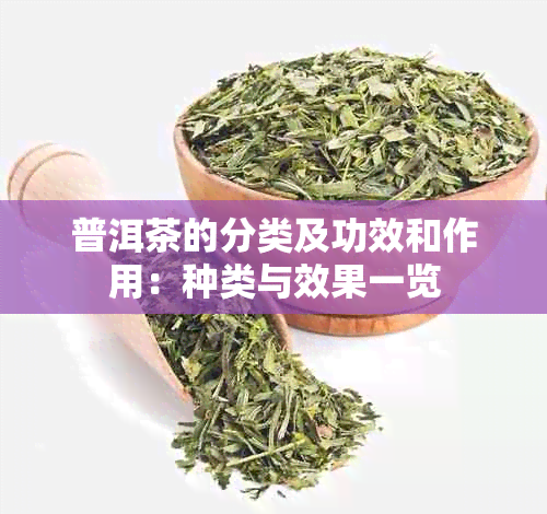 普洱茶的分类及功效和作用：种类与效果一览