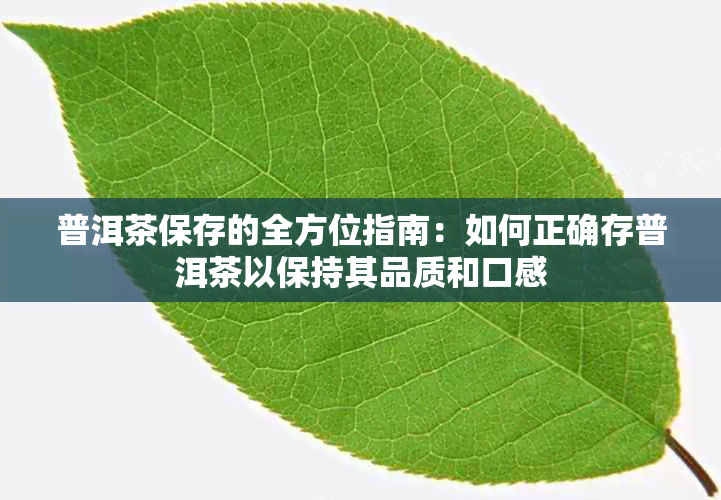 普洱茶保存的全方位指南：如何正确存普洱茶以保持其品质和口感