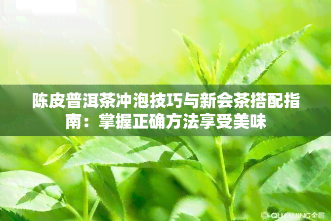 陈皮普洱茶冲泡技巧与新会茶搭配指南：掌握正确方法享受美味