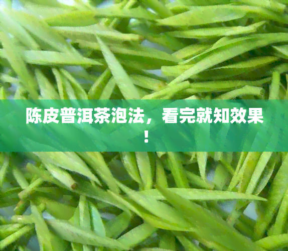 陈皮普洱茶泡法，看完就知效果！