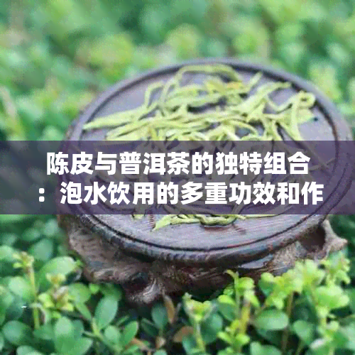 陈皮与普洱茶的独特组合：泡水饮用的多重功效和作用