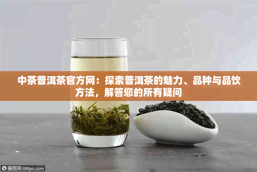 中茶普洱茶官方网：探索普洱茶的魅力、品种与品饮方法，解答您的所有疑问