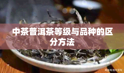 中茶普洱茶等级与品种的区分方法