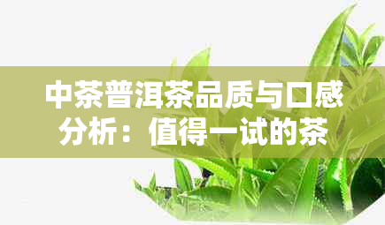 中茶普洱茶品质与口感分析：值得一试的茶品指南