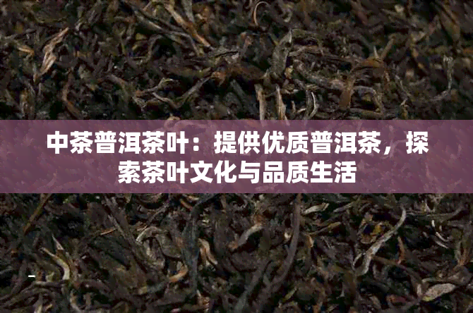 中茶普洱茶叶：提供优质普洱茶，探索茶叶文化与品质生活