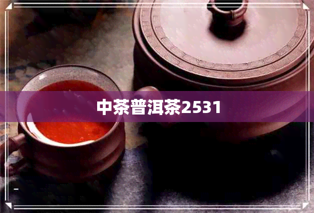 中茶普洱茶2531