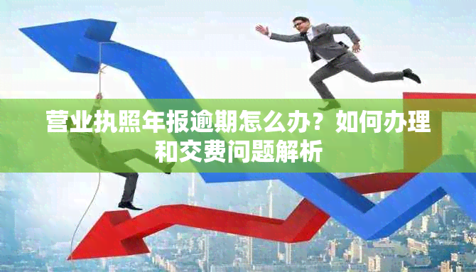 营业执照年报逾期怎么办？如何办理和交费问题解析