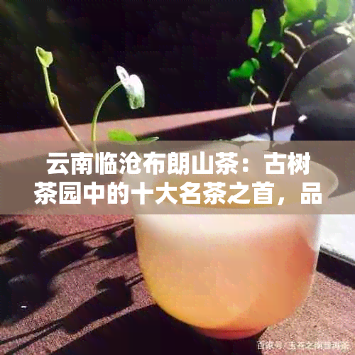 云南临沧布朗山茶：古树茶园中的十大名茶之首，品味浓醇香的生津口感