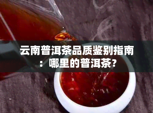 云南普洱茶品质鉴别指南：哪里的普洱茶？