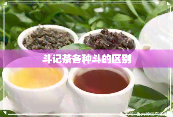 斗记茶各种斗的区别