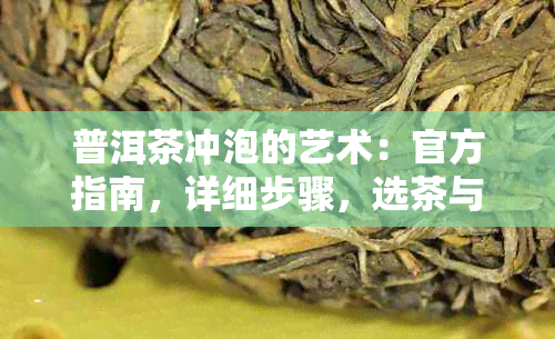 普洱茶冲泡的艺术：官方指南，详细步骤，选茶与品鉴全解析