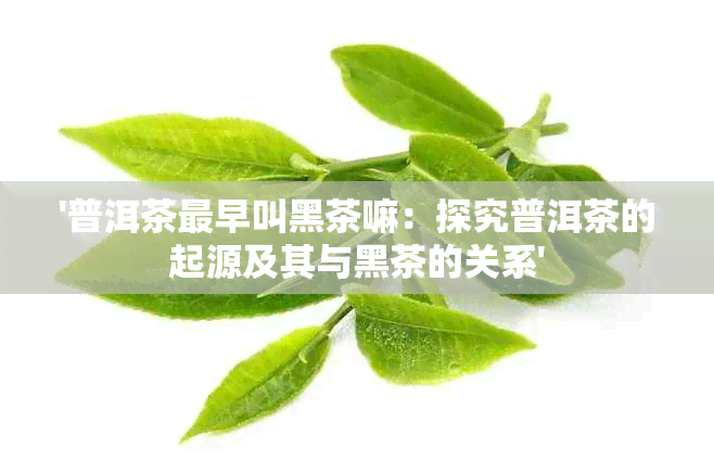 '普洱茶最早叫黑茶嘛：探究普洱茶的起源及其与黑茶的关系'