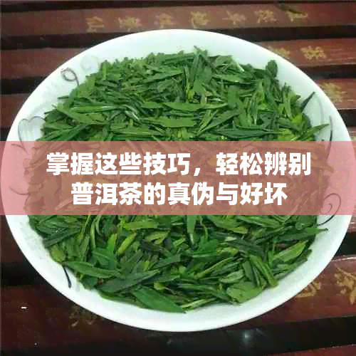 掌握这些技巧，轻松辨别普洱茶的真伪与好坏