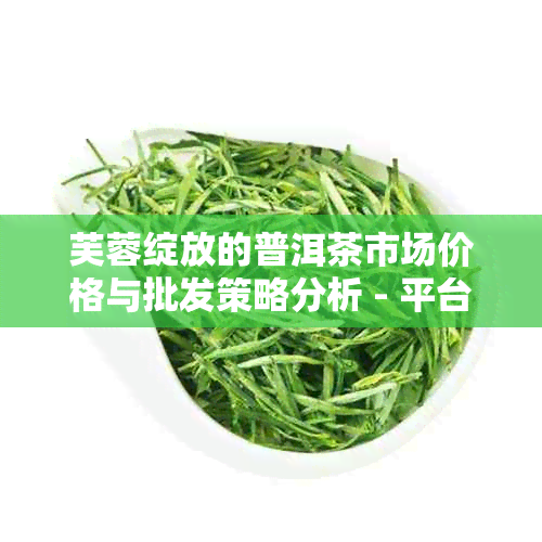 芙蓉绽放的普洱茶市场价格与批发策略分析 - 平台