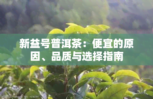 新益号普洱茶：便宜的原因、品质与选择指南