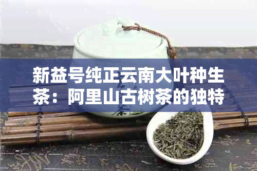 新益号纯正云南大叶种生茶：阿里山古树茶的独特魅力