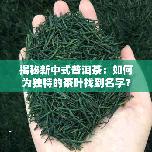 揭秘新中式普洱茶：如何为独特的茶叶找到名字？