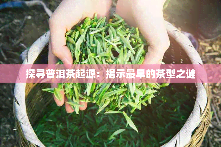 探寻普洱茶起源：揭示最早的茶型之谜