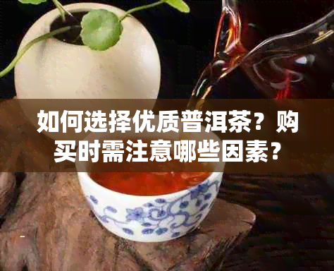 如何选择优质普洱茶？购买时需注意哪些因素？