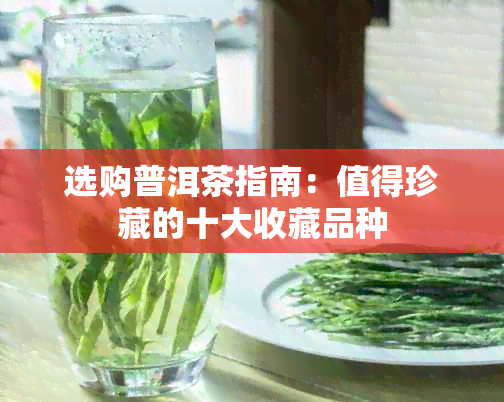 选购普洱茶指南：值得珍藏的十大收藏品种