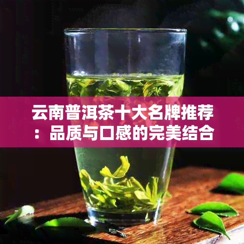 云南普洱茶十大名牌推荐：品质与口感的完美结合