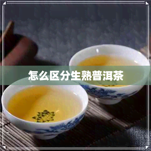 怎么区分生熟普洱茶