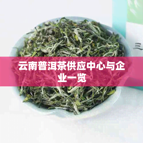 云南普洱茶供应中心与企业一览