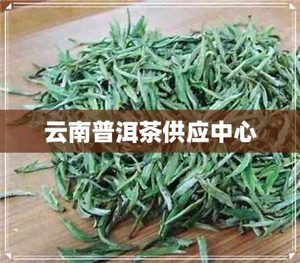 云南普洱茶供应中心