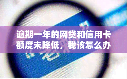 逾期一年的网贷和信用卡额度未降低，我该怎么办？这里有解决方案！