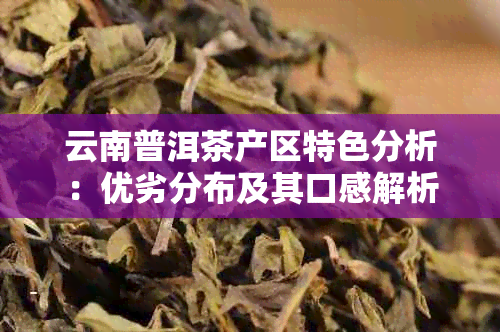 云南普洱茶产区特色分析：优劣分布及其口感解析