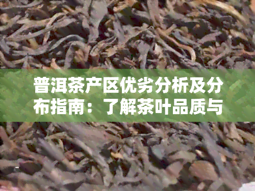 普洱茶产区优劣分析及分布指南：了解茶叶品质与地域关系