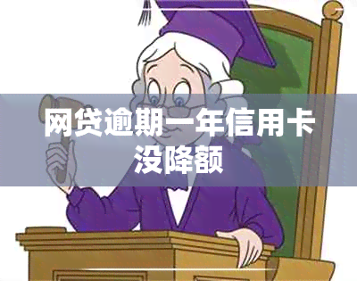 网贷逾期一年信用卡没降额