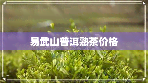 易武山普洱熟茶价格