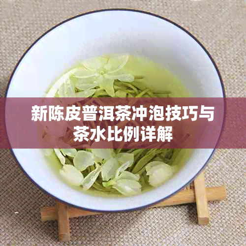 新陈皮普洱茶冲泡技巧与茶水比例详解