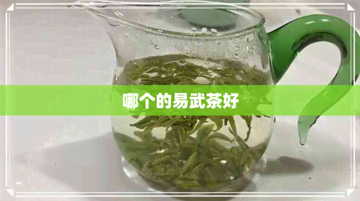 哪个的易武茶好