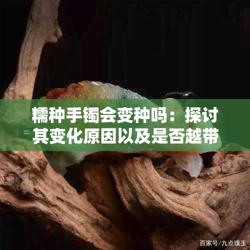 糯种手镯会变种吗：探讨其变化原因以及是否越带越透亮