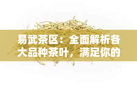 易武茶区：全面解析各大品种茶叶，满足你的品茶需求