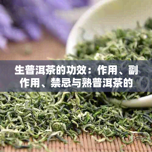 生普洱茶的功效：作用、副作用、禁忌与熟普洱茶的区别