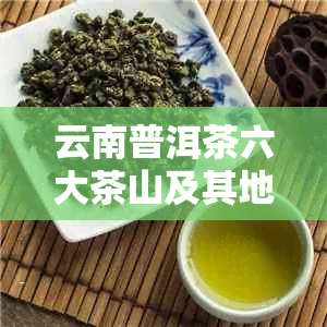 云南普洱茶六大茶山及其地理位置探析