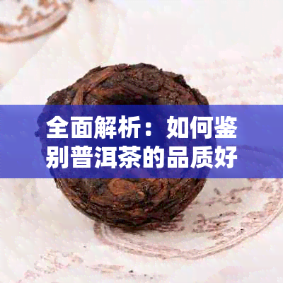 全面解析：如何鉴别普洱茶的品质好坏，从外观、香气到口感全方位解读