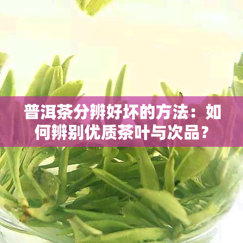 普洱茶分辨好坏的方法：如何辨别优质茶叶与次品？