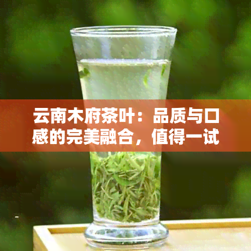 云南木府茶叶：品质与口感的完美融合，值得一试的普洱茶