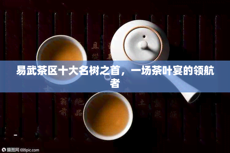 易武茶区十大名树之首，一场茶叶宴的领航者