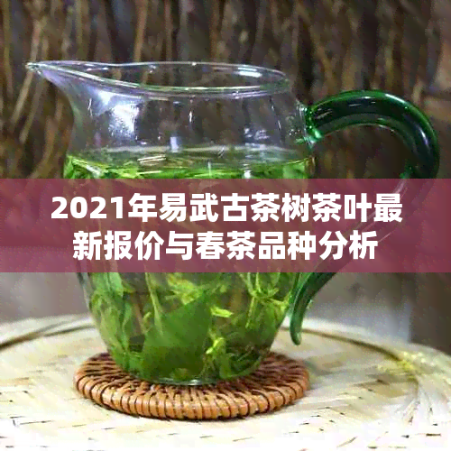 2021年易武古茶树茶叶最新报价与春茶品种分析