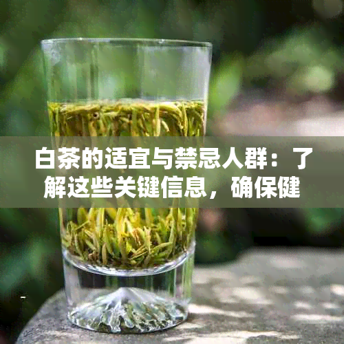 白茶的适宜与禁忌人群：了解这些关键信息，确保健饮茶！