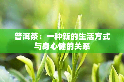 普洱茶：一种新的生活方式与身心健的关系