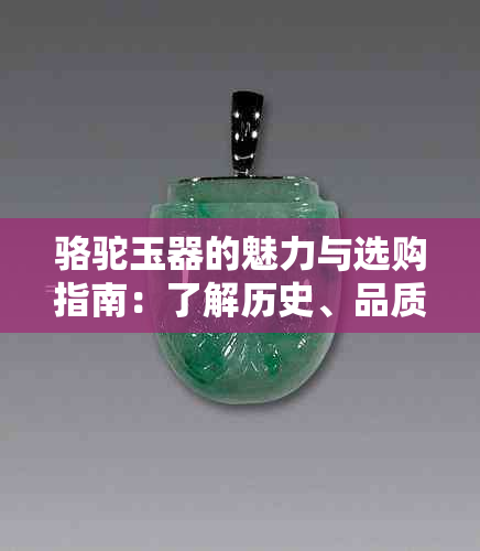 骆驼玉器的魅力与选购指南：了解历史、品质与收藏价值